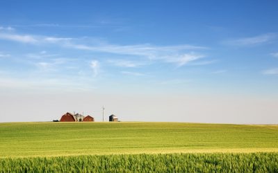 Tips For Buying Farmland in Saskatchewan