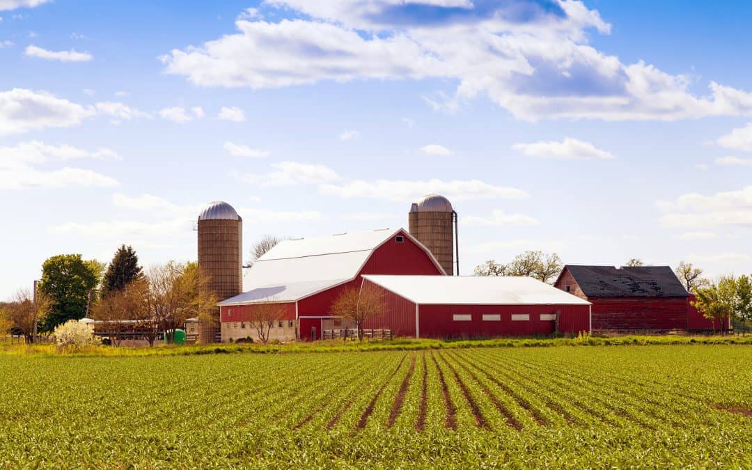 5 Impressive Saskatchewan Farming Facts