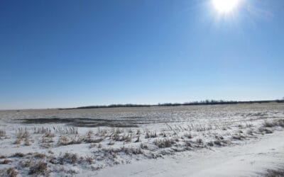 NEW LISTING – 959 Acres Near Pangman, SK