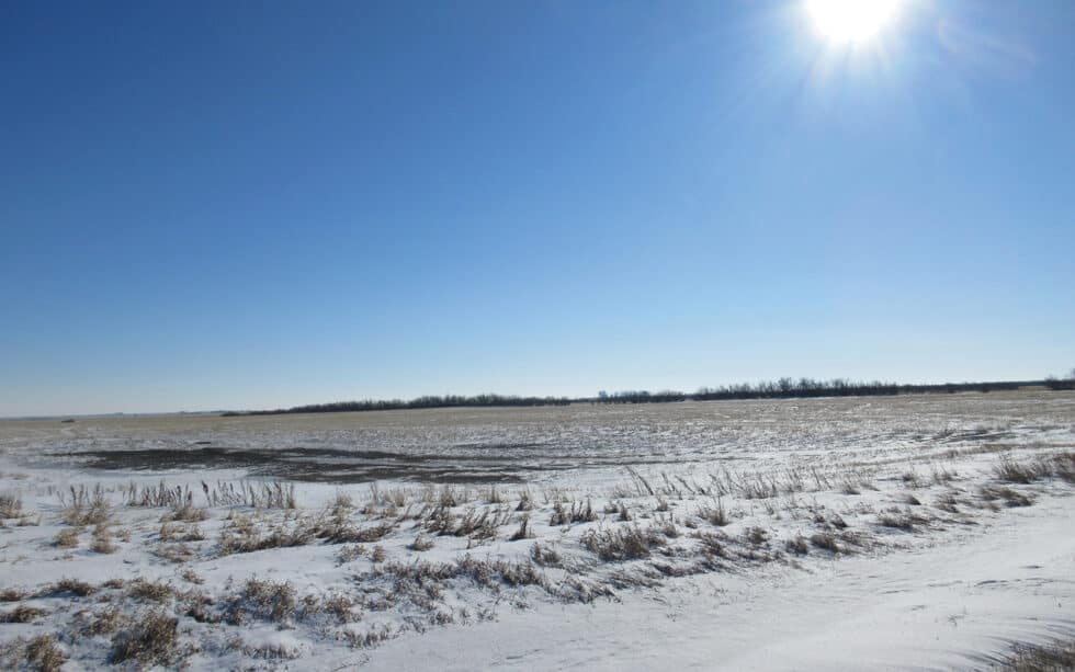 NEW LISTING 959 Acres Near Pangman, SK Sheppard Realty