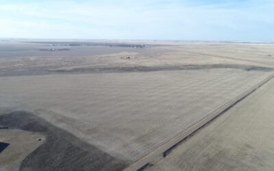 NEW LISTING – 159 Acres Near Sedley, SK!