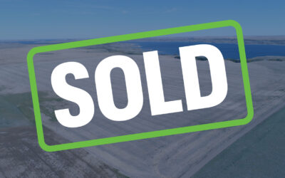 SOLD – 6 Quarters Near Lucky Lake, SK!