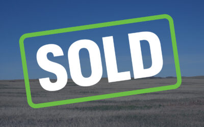 SOLD – One Quarter Near Truax, SK!