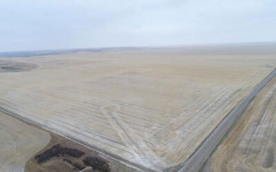 PRICE REDUCTION – 464 Acres Near Eston, SK!