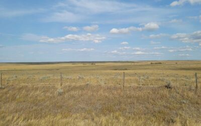 PRICE REDUCTION – 2 Quarters Near Ponteix, SK!