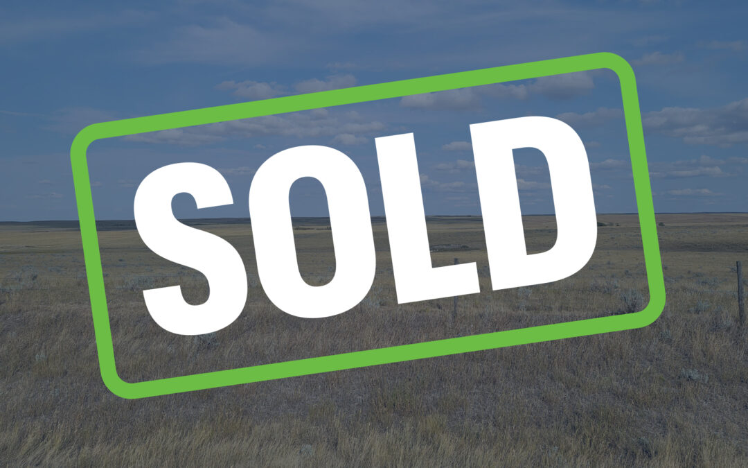 SOLD – 319 Acres near Punnichy, SK