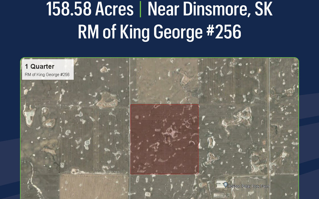NEW LISTING – 158.58 Acres Near Dinsmore, SK