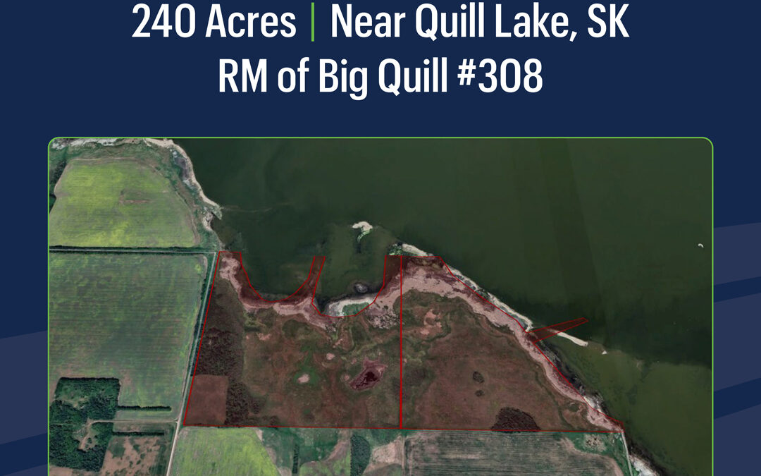 NEW LISTING – 240.1 Acres Near Big Quill