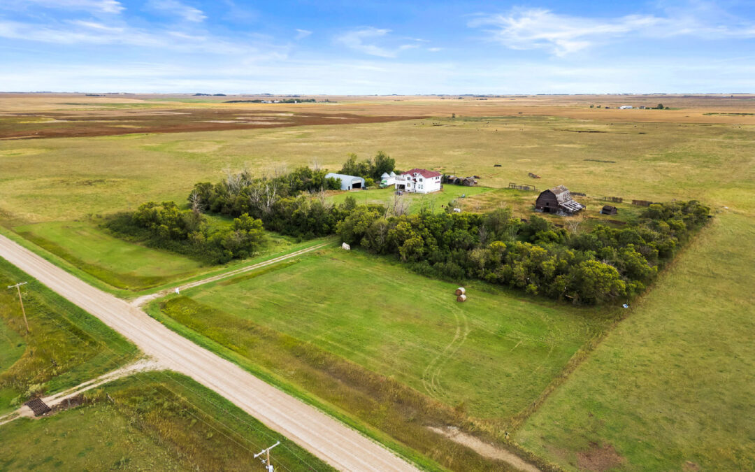 NEW LISTING – 319.58 Acres | RM Francis #127